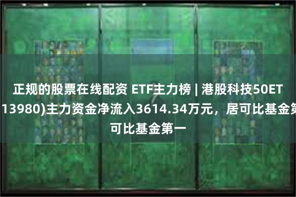 正规的股票在线配资 ETF主力榜 | 港股科技50ETF(513980)主力资金净流入3614.34万元,居可比基金第一