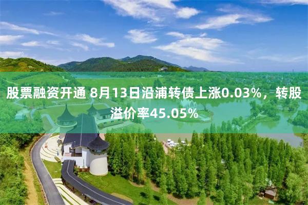 股票融资开通 8月13日沿浦转债上涨0.03%,转股溢价率45.05%