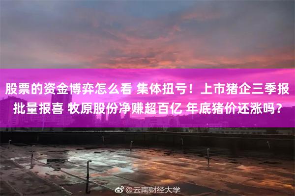 股票的资金博弈怎么看 集体扭亏！上市猪企三季报批量报喜 牧原股份净赚超百亿 年底猪价还涨吗？