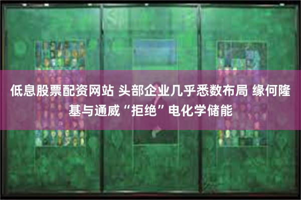 低息股票配资网站 头部企业几乎悉数布局 缘何隆基与通威“拒绝”电化学储能
