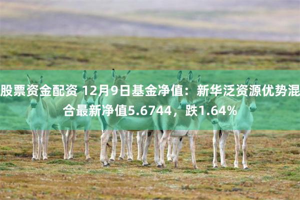 股票资金配资 12月9日基金净值:新华泛资源优势混合最新净值5.6744,跌1.64%