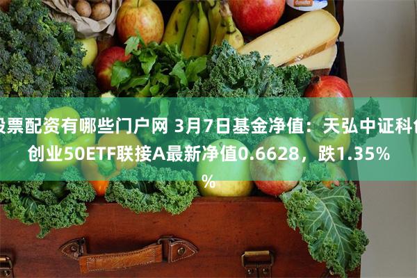 股票配资有哪些门户网 3月7日基金净值:天弘中证科创创业50ETF联接A最新净值0.6628,跌1.35%
