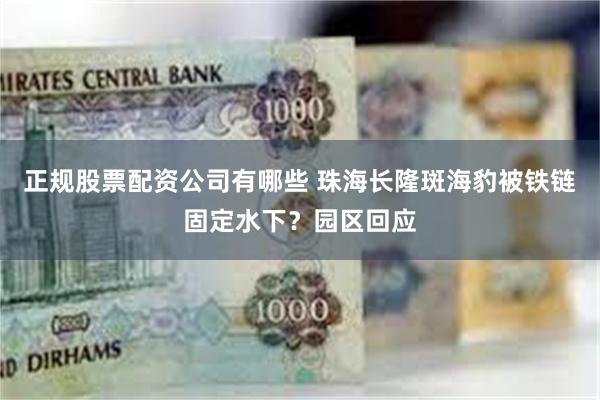 正规股票配资公司有哪些 珠海长隆斑海豹被铁链固定水下?园区回应