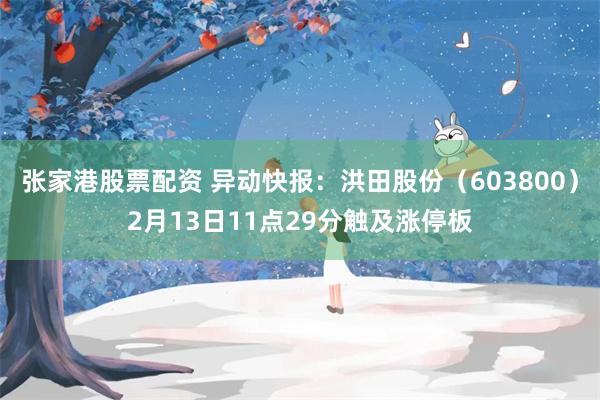 张家港股票配资 异动快报：洪田股份（603800）2月13日11点29分触及涨停板