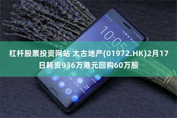 杠杆股票投资网站 太古地产(01972.HK)2月17日耗资936万港元回购60万股