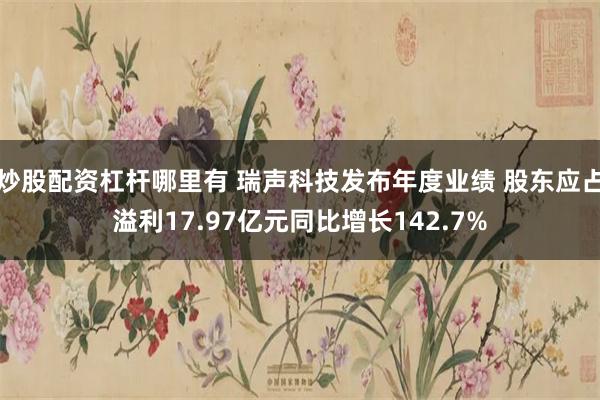 炒股配资杠杆哪里有 瑞声科技发布年度业绩 股东应占溢利17.97亿元同比增长142.7%