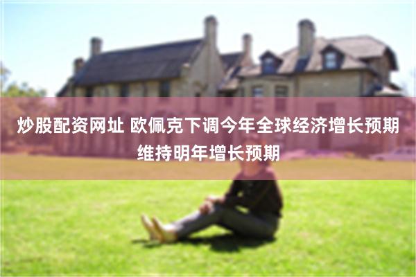 炒股配资网址 欧佩克下调今年全球经济增长预期维持明年增长预期