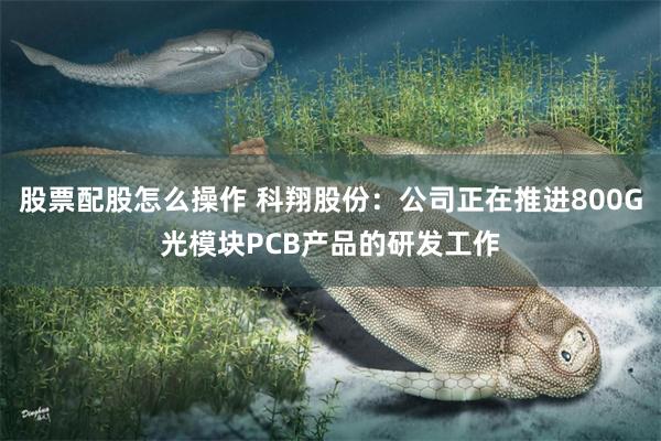 股票配股怎么操作 科翔股份：公司正在推进800G光模块PCB产品的研发工作