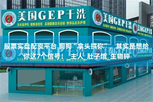 股票实盘配资平台 狗狗“拿头拱你”,其实是想给你这7个信号!_主人_肚子饿_生物钟