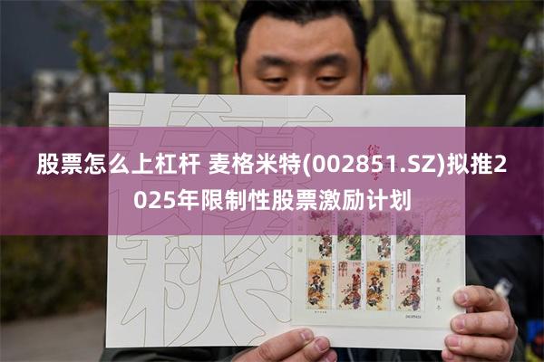 股票怎么上杠杆 麦格米特(002851.SZ)拟推2025年限制性股票激励计划