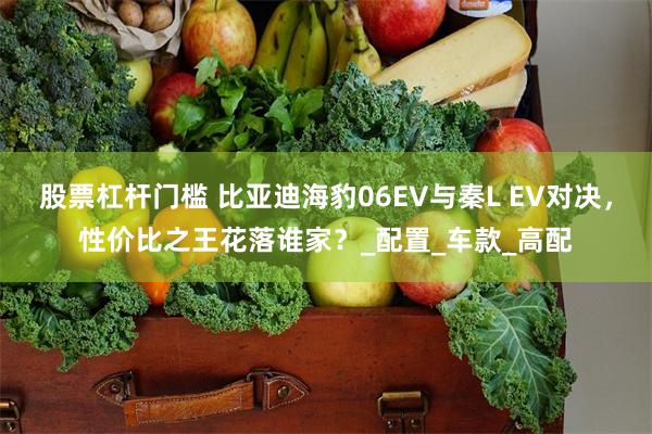股票杠杆门槛 比亚迪海豹06EV与秦L EV对决,性价比之王花落谁家?_配置_车款_高配