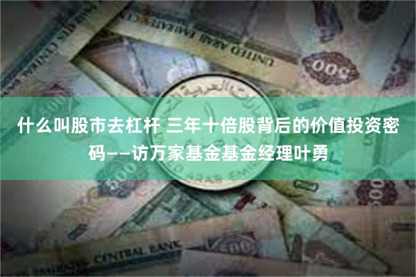 什么叫股市去杠杆 三年十倍股背后的价值投资密码——访万家基金基金经理叶勇