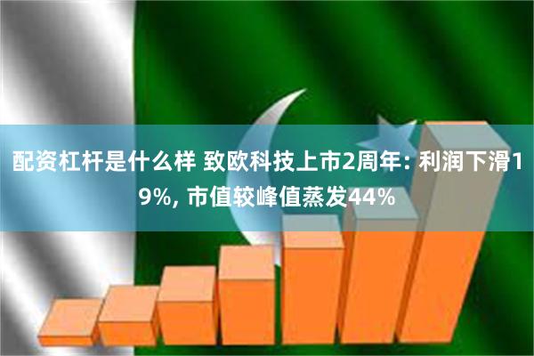 配资杠杆是什么样 致欧科技上市2周年: 利润下滑19%, 市值较峰值蒸发44%