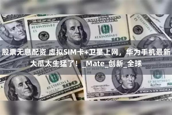 股票无息配资 虚拟SIM卡+卫星上网，华为手机最新大瓜太生猛了！_Mate_创新_全球