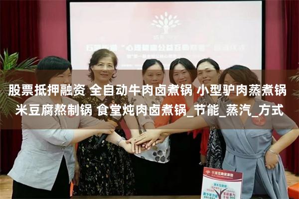 股票抵押融资 全自动牛肉卤煮锅 小型驴肉蒸煮锅 米豆腐熬制锅 食堂炖肉卤煮锅_节能_蒸汽_方式