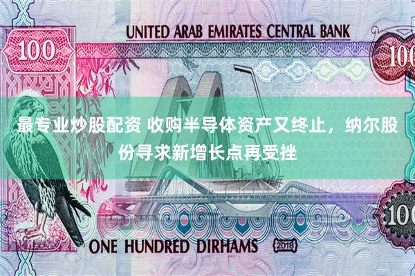 最专业炒股配资 收购半导体资产又终止,纳尔股份寻求新增长点再受挫
